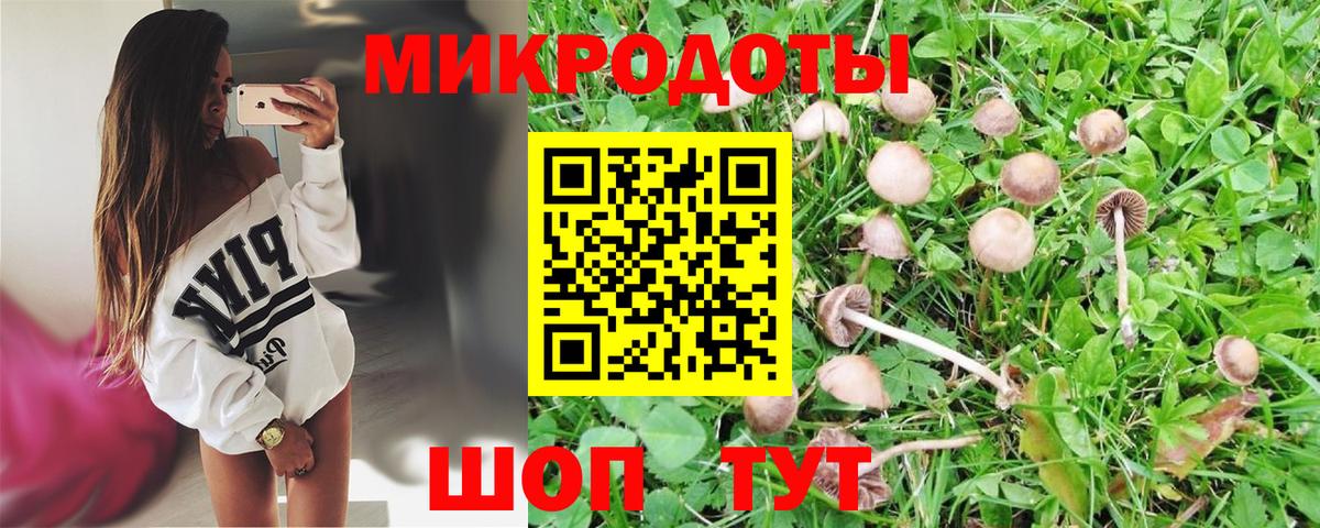 Псилоцибиновые грибы мухоморы Кирово-Чепецк
